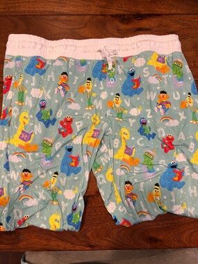 Sesame Street little sleepies pants